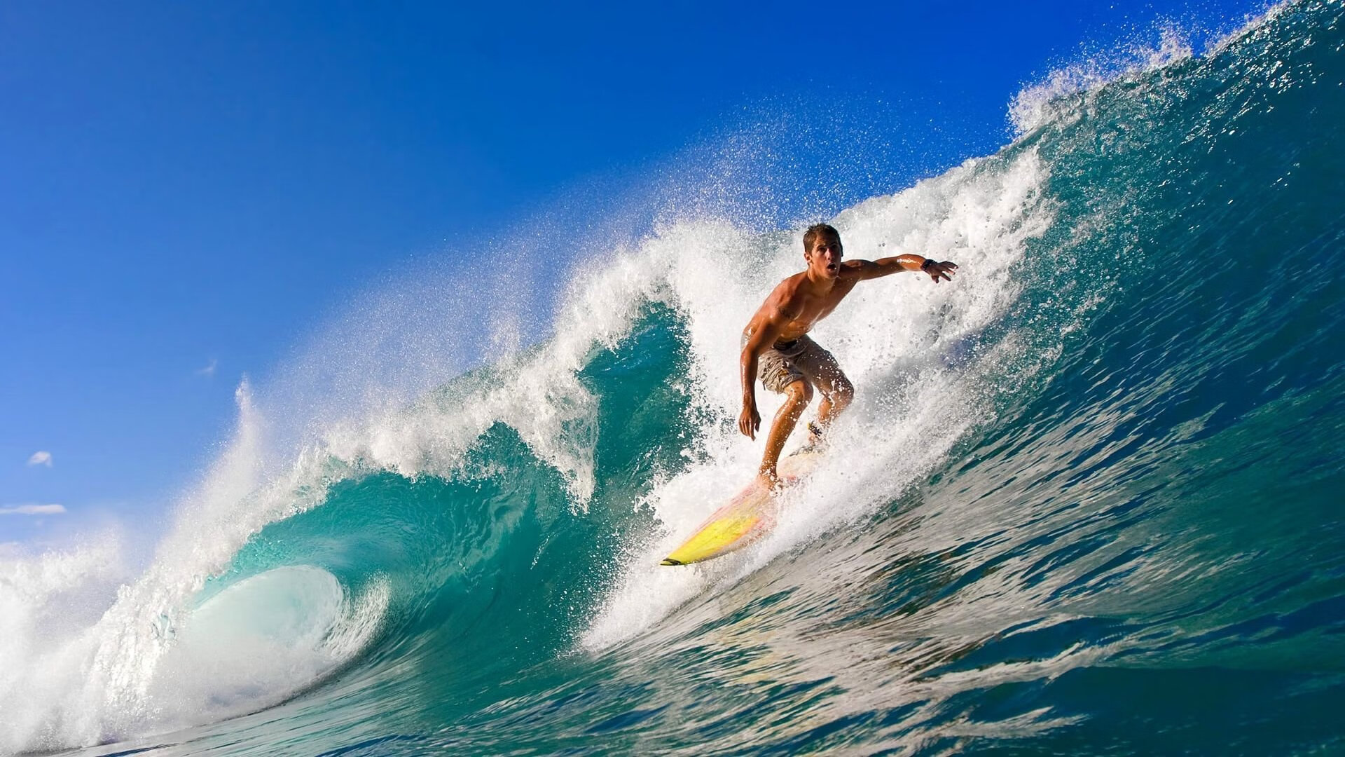 _雄鹿持续稳步提升，迎来佳绩_，雄鹿11