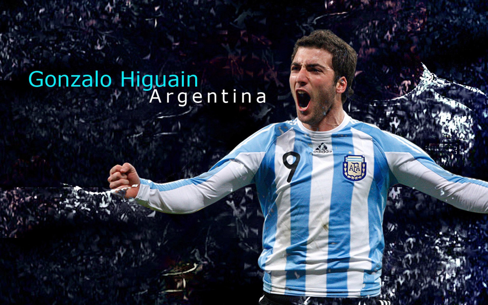 比利时骑手吉尔·托马斯在2024年国际马术联合会障碍赛世界巡回赛中以“Bella”马匹获得个人第六名，表现出色。